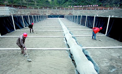 犟河黃龍人工濕地預計年底可投入運行
