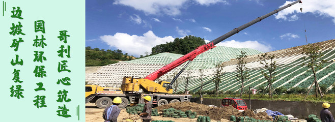 專業綠化工程施工隊_邊坡復綠_花海建設