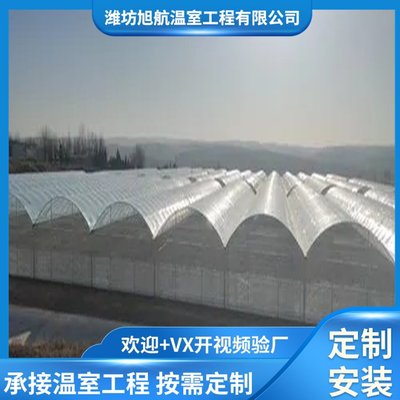 先進草莓pvc溫室大棚 工廠專業預算 采光好 施工隊隨時可建設