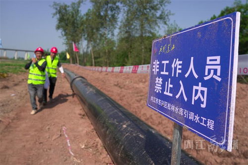 明年10月投用 內江這個引調水工程施工正酣