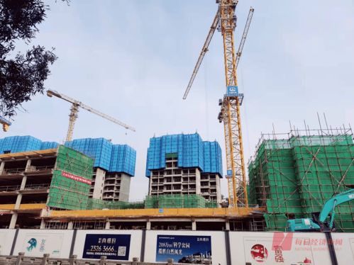 353套房源10天僅認(rèn)購(gòu)1套 每經(jīng)實(shí)探深圳2022年首個(gè)新盤 周邊基礎(chǔ)配套薄弱,價(jià)格比附近樓盤高近5000元